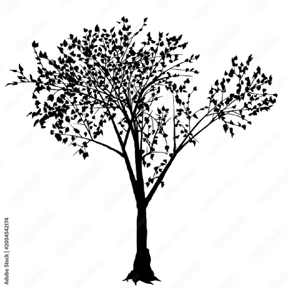 Fototapeta premium tree silhouette vector