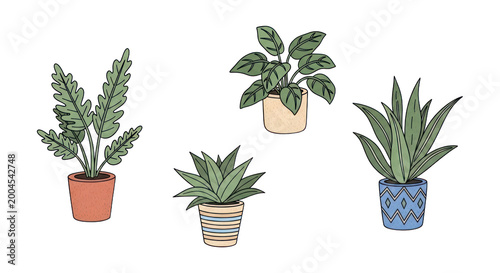 Set of four potted plants for home decor, indoor gardening, and botanical design inspiration