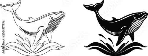 Schilderij op canvas Humpback whale breaching illustration in line art and black silhouette style set design
