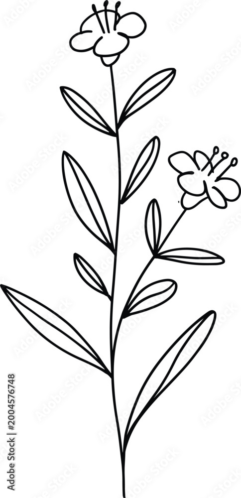Fototapeta premium Minimal flower line art vector botanical illustration simple floral branch outline design isolated element