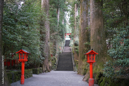 Canvas Print Traditional red lanterns along a serene gravel pathway and stone stairs ascendin
