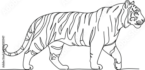 Canvas Print Tiger walking side view line art illustration realistic wild animal outline draw
