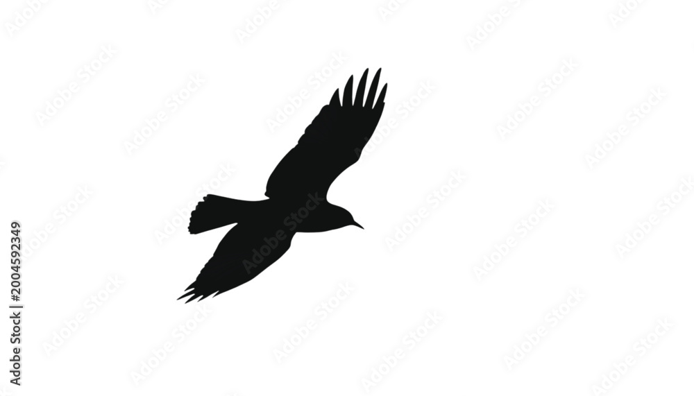 Fototapeta premium Crow rendered as a sharp black silhouette against a clean white backdrop signifies mystery and intelligence while capturing the dramatic essence of a wild bird in motion during its daily flight path.