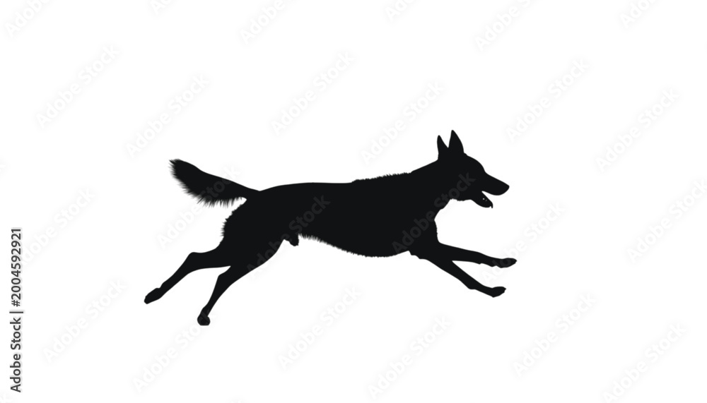 Fototapeta premium Dog running fast across a horizontal plane is depicted as a solid black silhouette isolated on a white background to emphasize animal movement, agility, and the natural behavior of domestic pets.