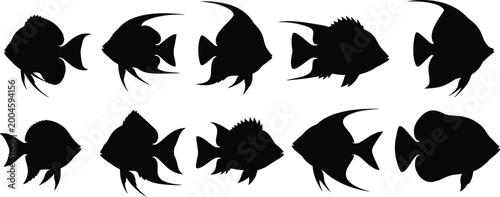 Photos Black silhouette collection of angelfish a variety of poses and shapes