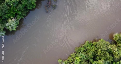 4K aerial top down flyover from Amazon River to dense tropical rainforest with water ripples near Iquitos Peru