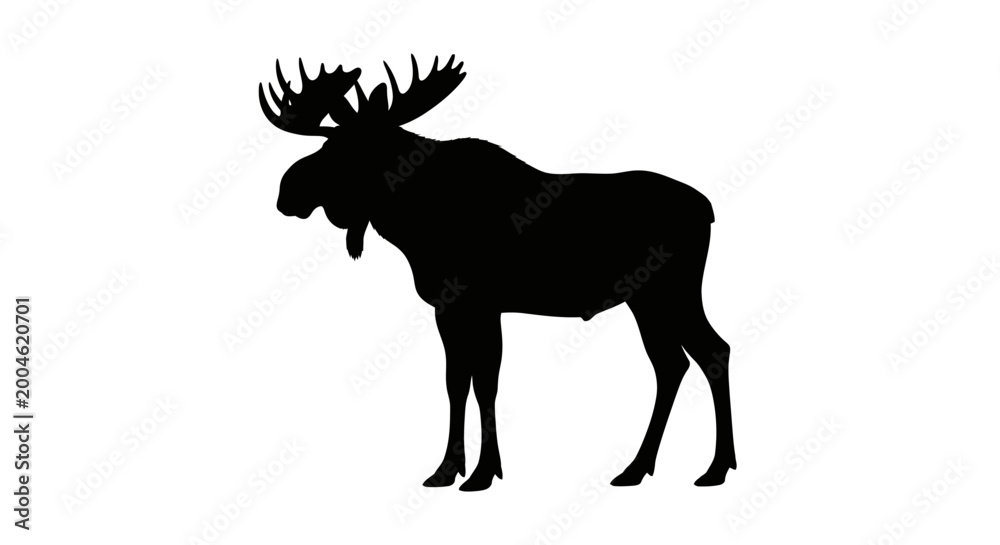 Fototapeta premium Moose Silhouette Against White Background high quality professional
