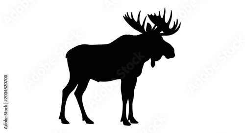 Photos Moose silhouette against a white background side view