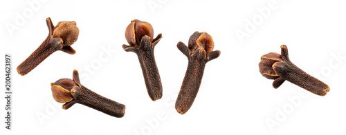 Four dried whole clove spice buds, isolated on a white background, for culinary use