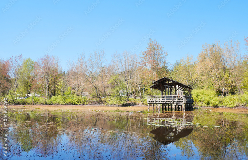 Obraz premium Fishtrap Creek Park during a spring season in Abbotsford, British Columbia, Canada