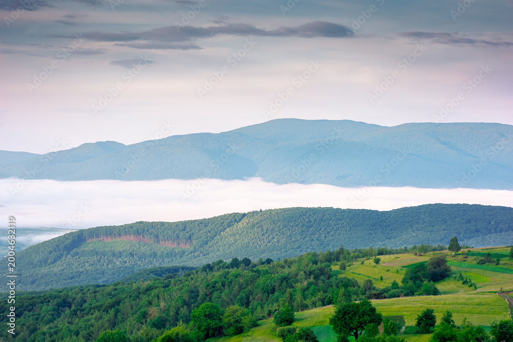 Fototapeta premium mountainous rural area of transcarpathia during springtime. remote mountain landscape with forested rolling hills. foggy morning in wonderful place of alpine countryside wallpaper