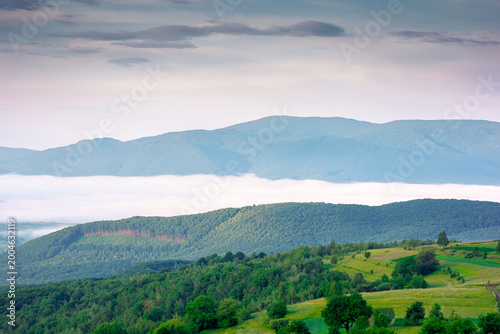 mountainous rural area of transcarpathia during springtime. remote mountain landscape with forested rolling hills. foggy morning in wonderful place of alpine countryside wallpaper