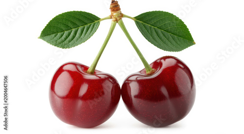 Two ripe red cherries with green leaves attached to stems isolated on a plain white background shot