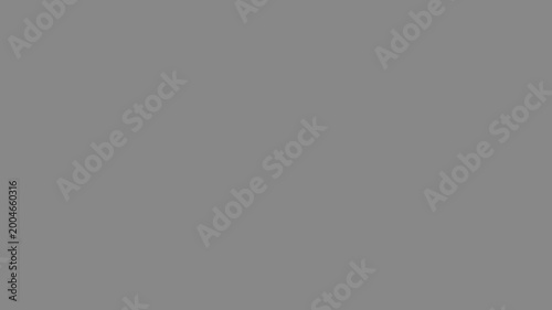Paparazzi Camera Flash Shutter Click Animation on Black Background. Famous Popular Celebrity Photos Click. Advertisement Fashion Show Runway Product Effect. Professional Crowd Stadium Prism Effect 4k