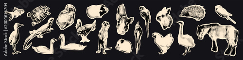 Canvas-taulu Animals halftone art collage cut outs set