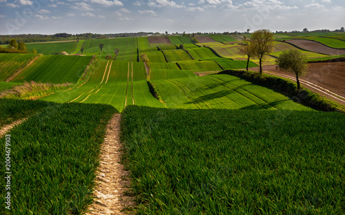 Lush green fields stretch across rolling hills with farm lines under bright sunlight in a rural setting