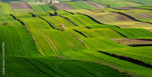 Lush green fields stretch across rolling hills with farm lines under bright sunlight in a rural setting