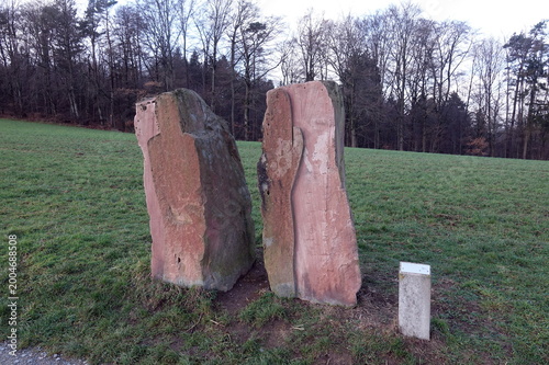 Quadro em tela Kunstwerk auf der Tromm im Odenwald