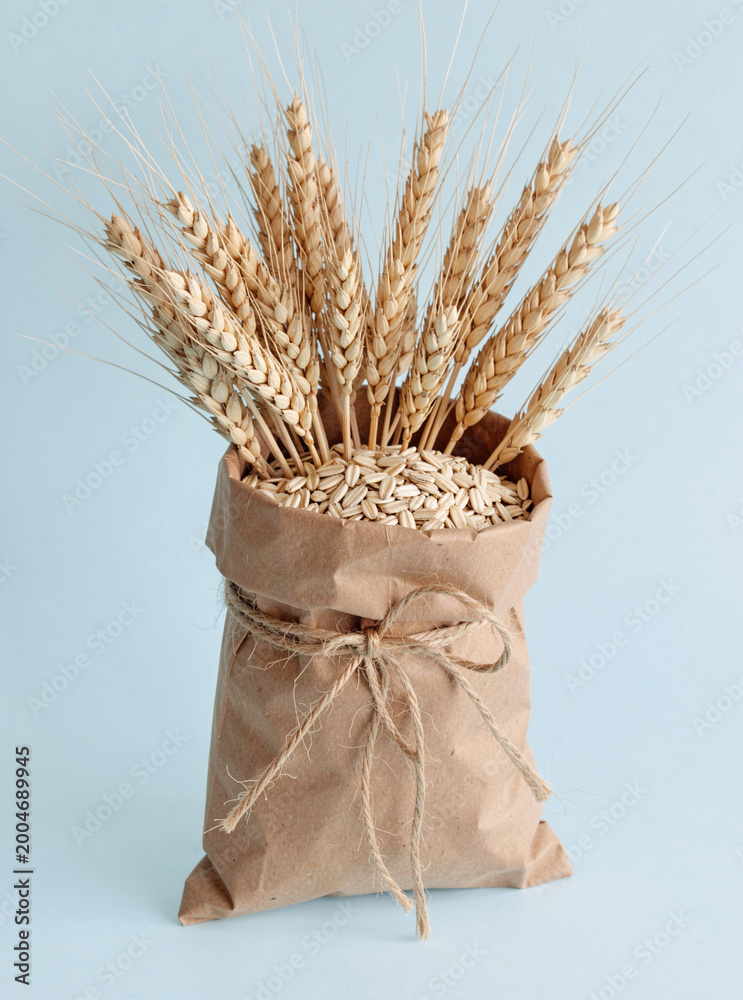 Fototapeta premium A brown sack tied with a bow, filled with grains such as wheat and barley, set against a light blue background.