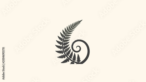 Konstfotografi Black fern frond uncurling into a spiral on a light cream background