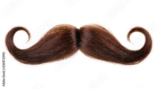 Cuadro en lienzo Curled brown hair mustache with curled ends, isolated on transparent background