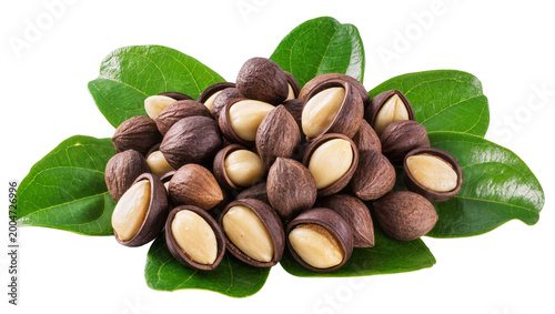 Bild auf Leinwand Heap of macadamia nuts with shells and kernels resting on green leaves, isolated