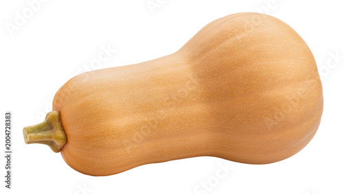 Fotografía Whole butternut squash with ribbed texture, isolated on transparent background