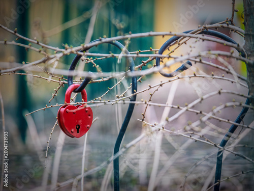 Red padlock on thorny branches symbolizing love and secrets