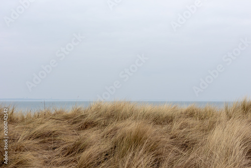 Dünenlandschaft mit trockenem Strandhafer unter grauem Himmel an der Nordseeküste