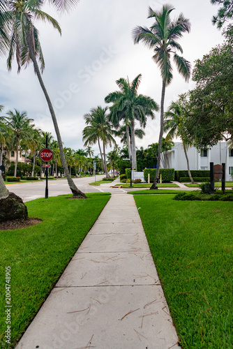 Naples Florida sidewalk with palm trees landscaping and architectural  daytime
