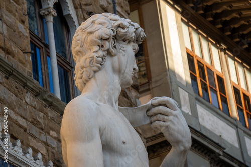 Принти на полотні firenze