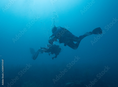 Scuba Divers