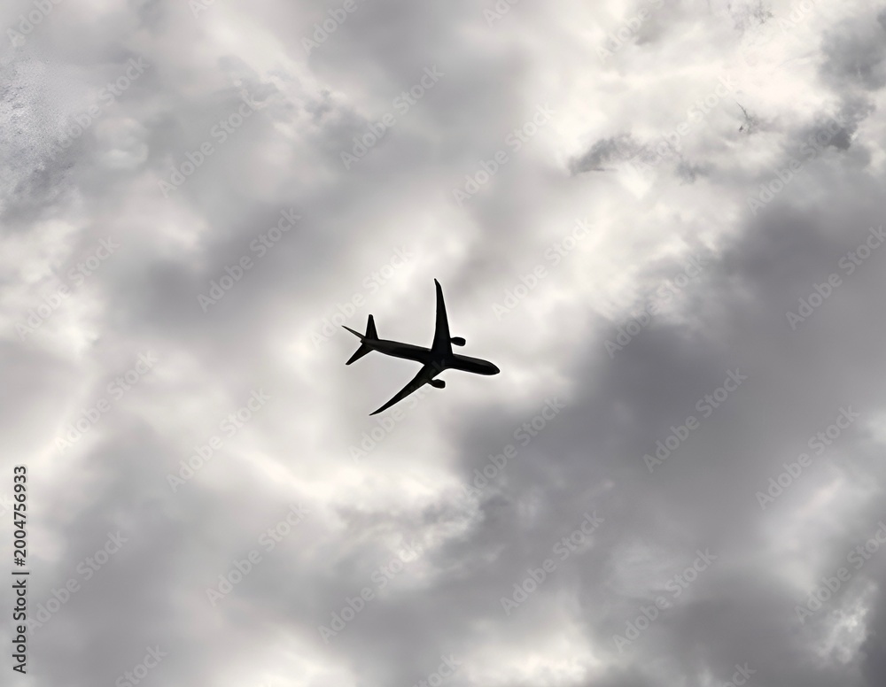 Fototapeta premium airplane in the sky