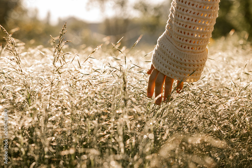 Εκτύπωση καμβά Hand in soft golden grass touching blades gently at sunrise during calm peaceful