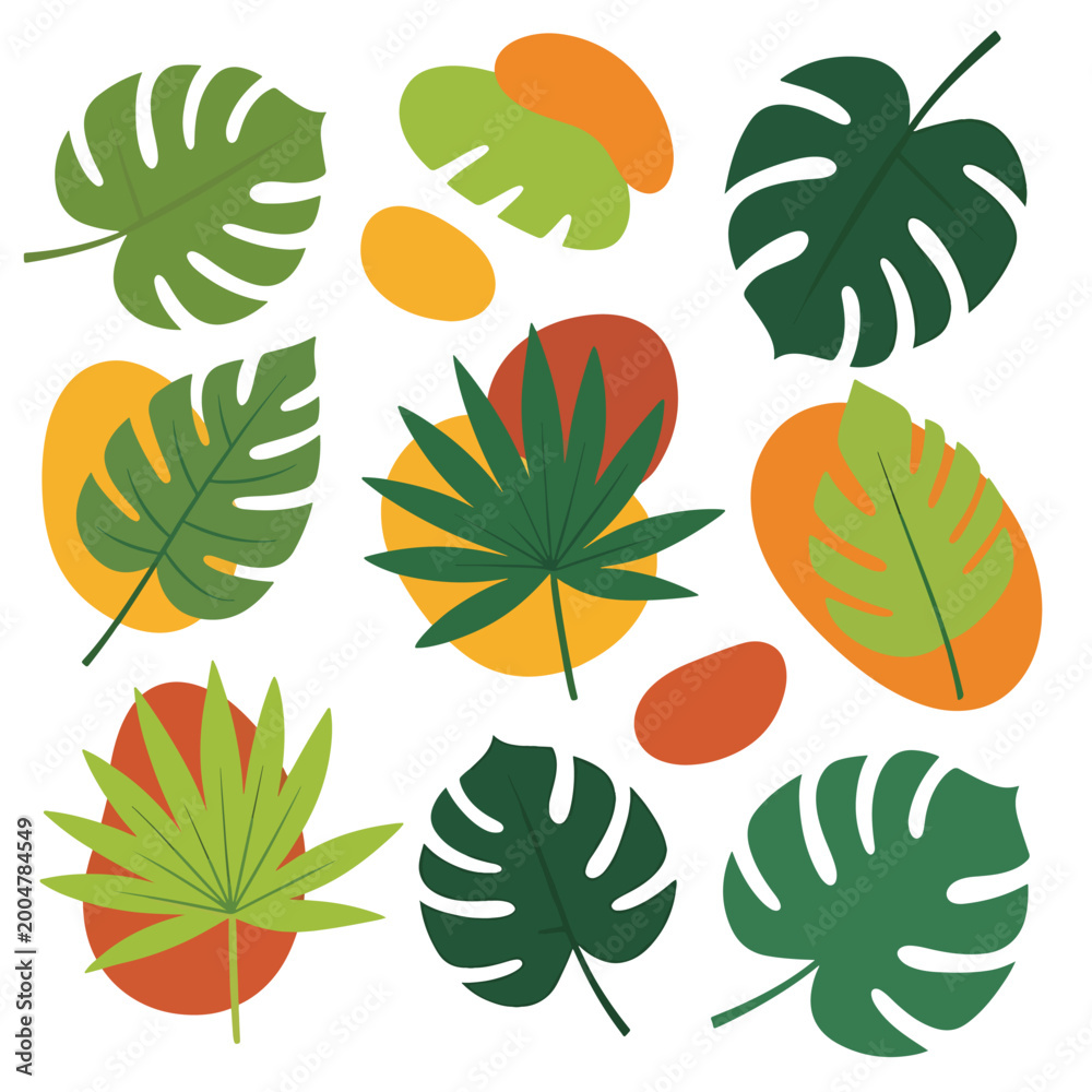 Fototapeta premium Collection of various tropical leaf shapes 1.