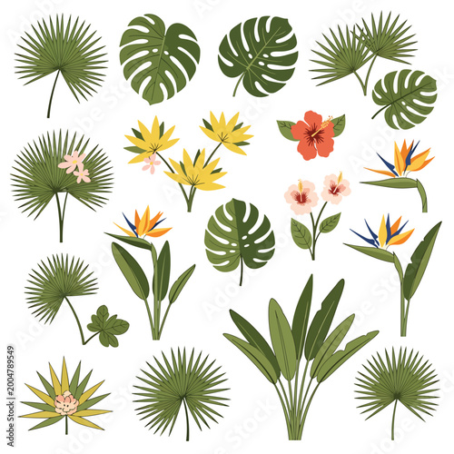 Tableau sur toile Tropical leaves and flowers illustration.