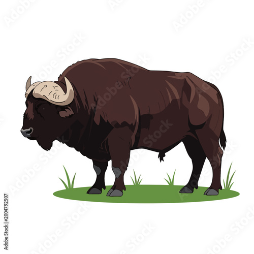 Fotografie Large Brown Bison Standing Alone.