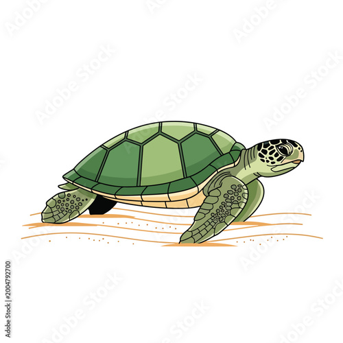 Bild auf Leinwand Green sea turtle on the move.