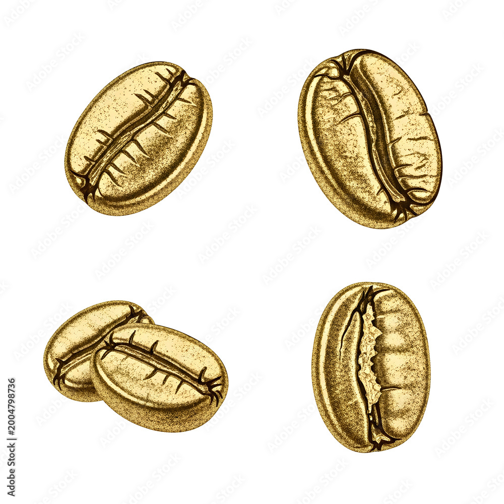 Fototapeta premium Golden coffee beans isolated on a white background closeup shot.