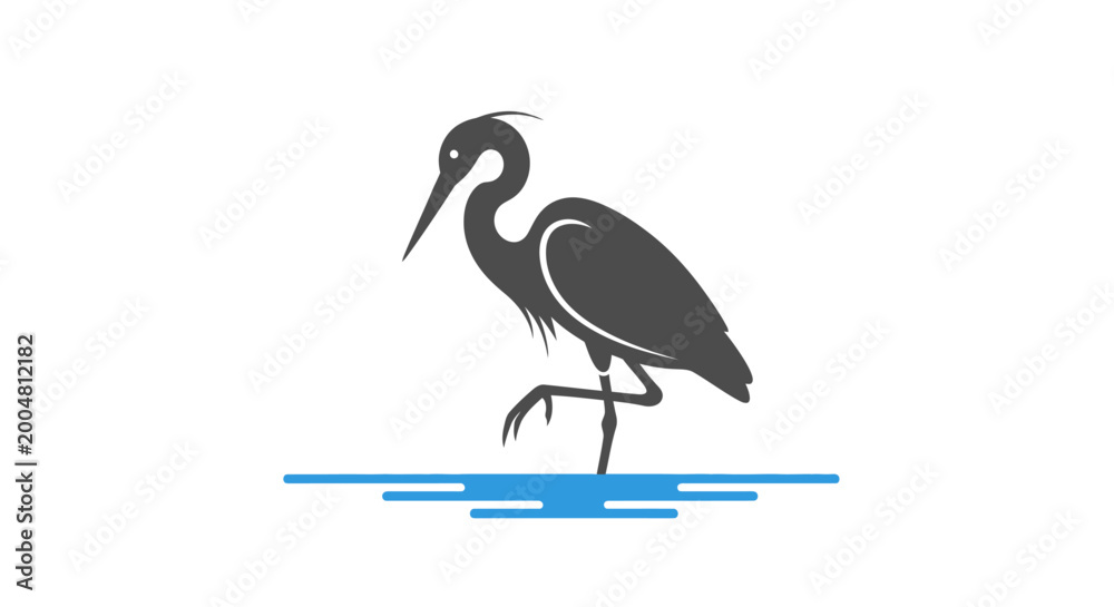Fototapeta premium Black Heron Bird Standing Alone.