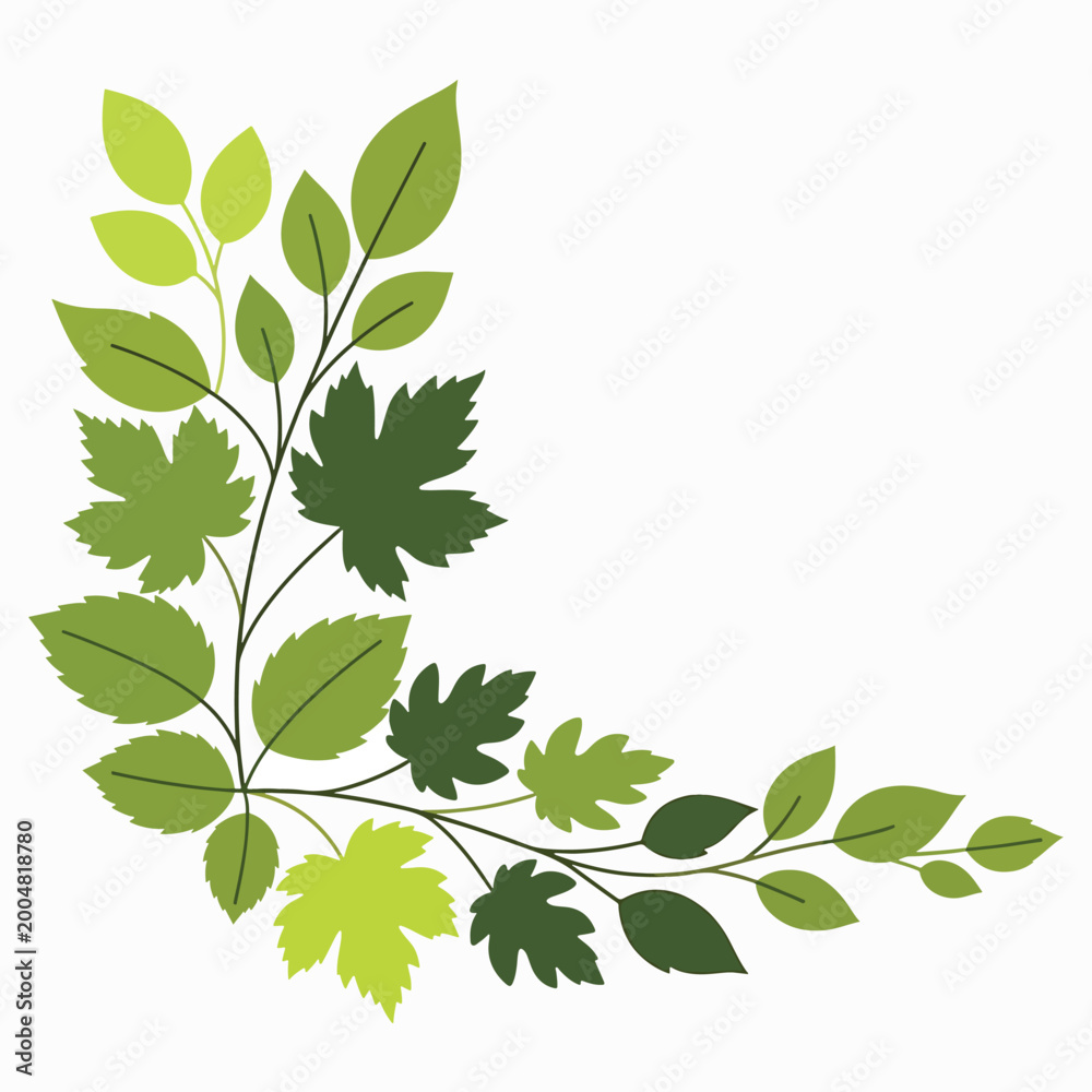 Obraz premium Collection of various green leaf types 1.