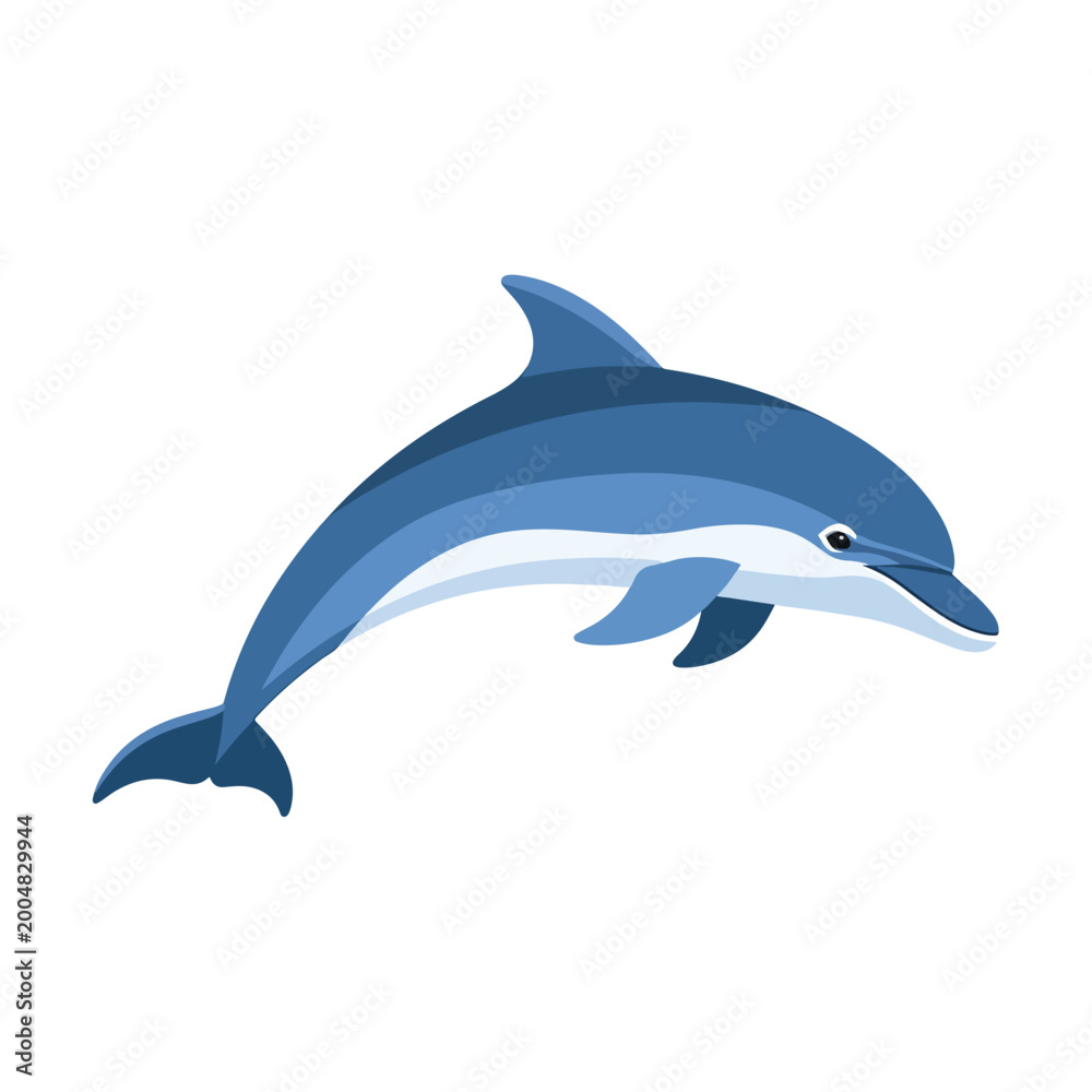Fototapeta premium Dolphin Swimming In Ocean Water.