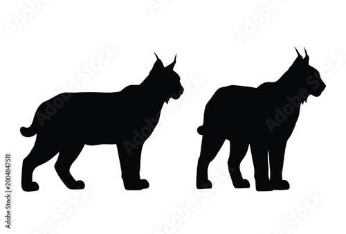 Photography Two bobcats shown in profile a striking black form silhouette high quality