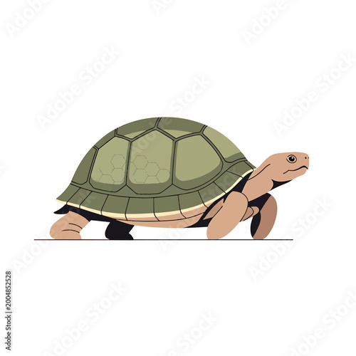Bild auf Leinwand Turtle Walking on the Ground Slowly 1.