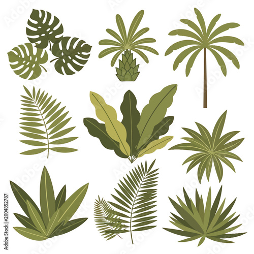 Tableau sur toile Tropical leaves palm tree foliage green.