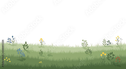 Photos Green grass with small wild flowers.