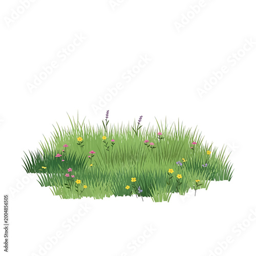 Foto Green grass with small yellow flowers 1.