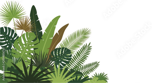 Schilderij op canvas Tropical leaves and foliage plants.