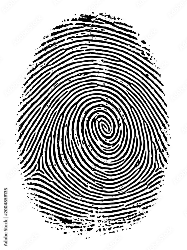 Fototapeta premium Fingerprint vector illustration, fingerprint scan, biometric identification