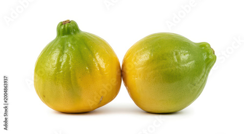Two fresh yellow and green lemons with textured peels, isolated on a plain white background view